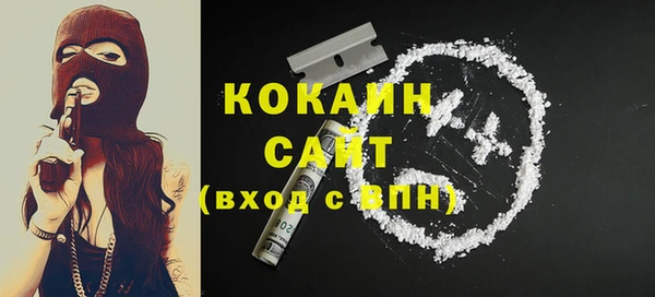 гидра Кинешма