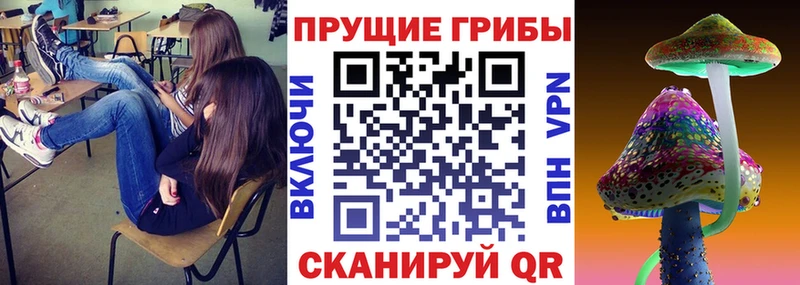 Псилоцибиновые грибы Magic Shrooms  купить наркотики цена  ссылка на мегу зеркало  Усть-Джегута 