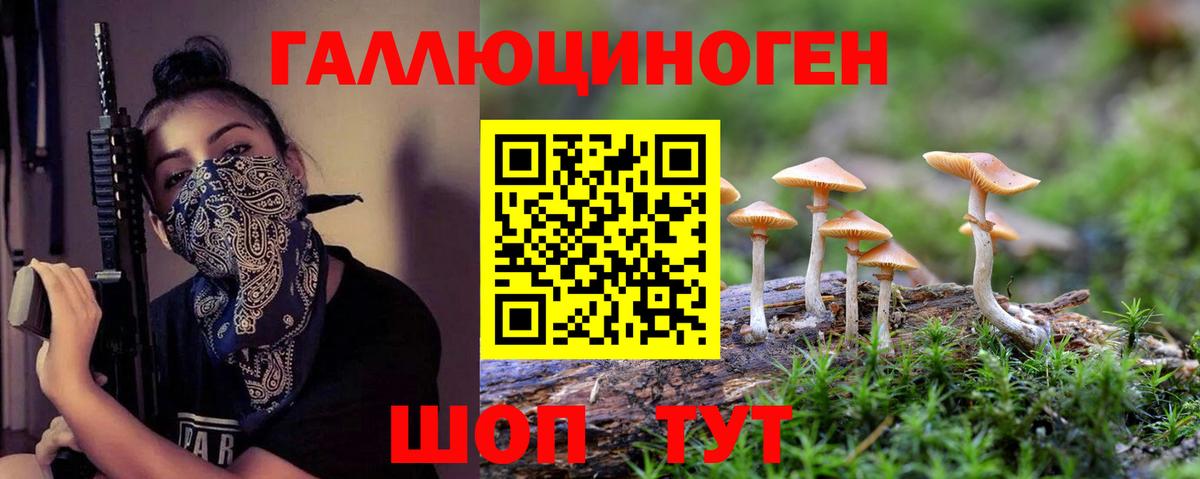 Галлюциногенные грибы MAGIC MUSHROOMS Усть-Джегута