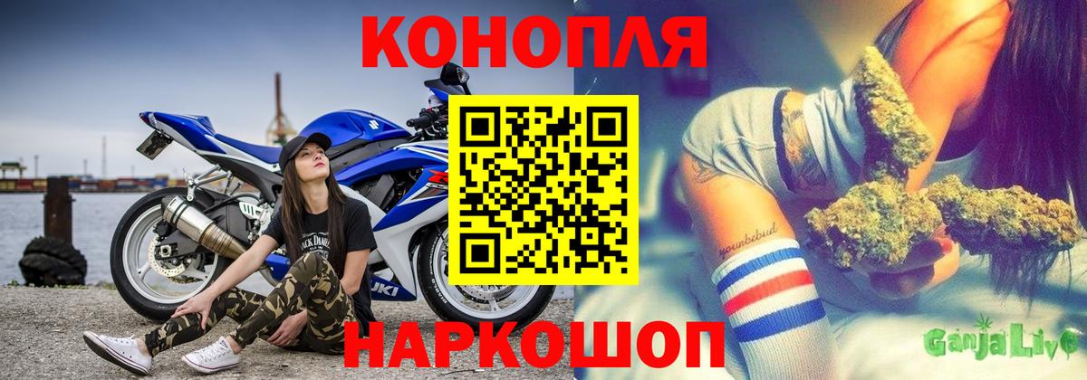 Усть-Джегута  Шишки марихуана OG Kush  Канабис гибрид  Вход с VPN  Бошки марихуана Bruce Banner  Марихуана план 